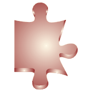 [Image Showing Puzzle Piece for Portfolio Information]