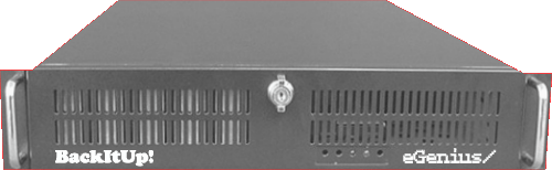 [Picture of BackItUp! Case]