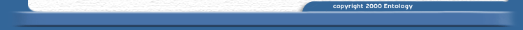 [Bottom Bar]